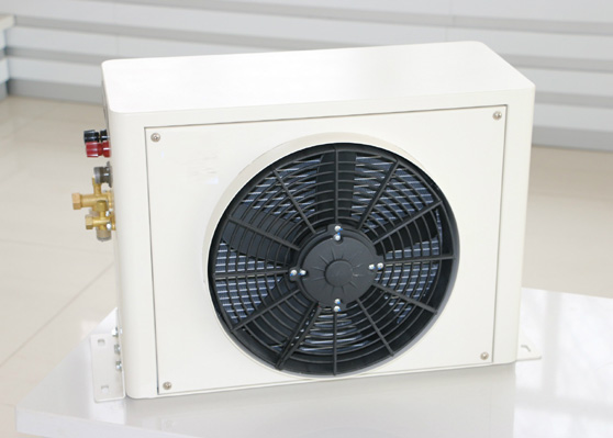 �����յ�����